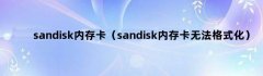 sandisk内存卡（sandisk内存卡无法格式化）