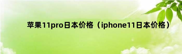 苹果11pro..价格（iphone11..价格）