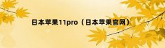 日本苹果11pro（日本苹果官网）