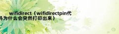 wifidirect（wifidirectpin代码为什么会突然打印出来）