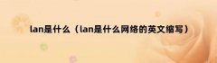 lan是什么（lan是什么网络的英文缩写）