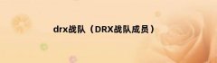 drx战队（DRX战队成员）